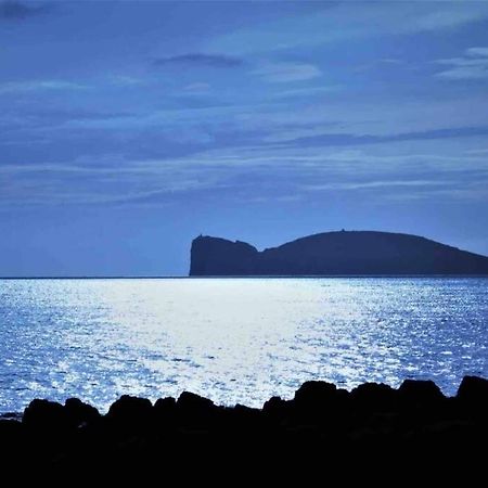 Alghero Sun & Sea - Spiaggia A 50 Metri Exteriér fotografie