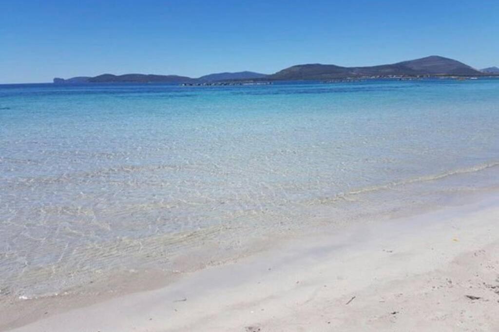 Alghero Sun & Sea - Spiaggia A 50 Metri Exteriér fotografie