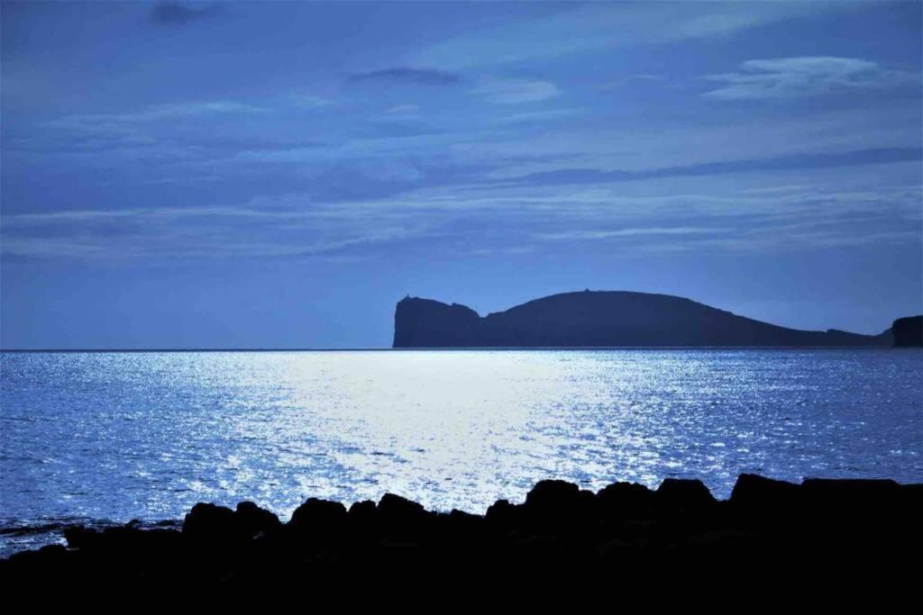 Alghero Sun & Sea - Spiaggia A 50 Metri Exteriér fotografie