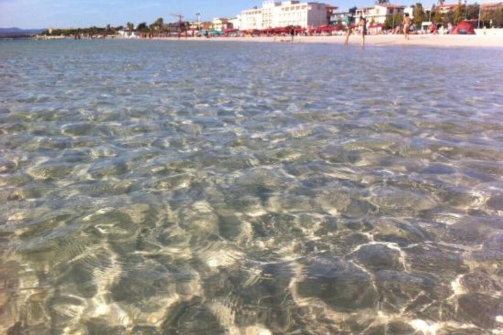 Alghero Sun & Sea - Spiaggia A 50 Metri Exteriér fotografie